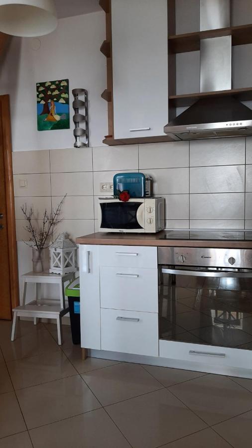 Apartman Ana & Marta セニ エクステリア 写真